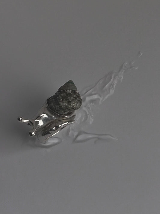 Little Snail