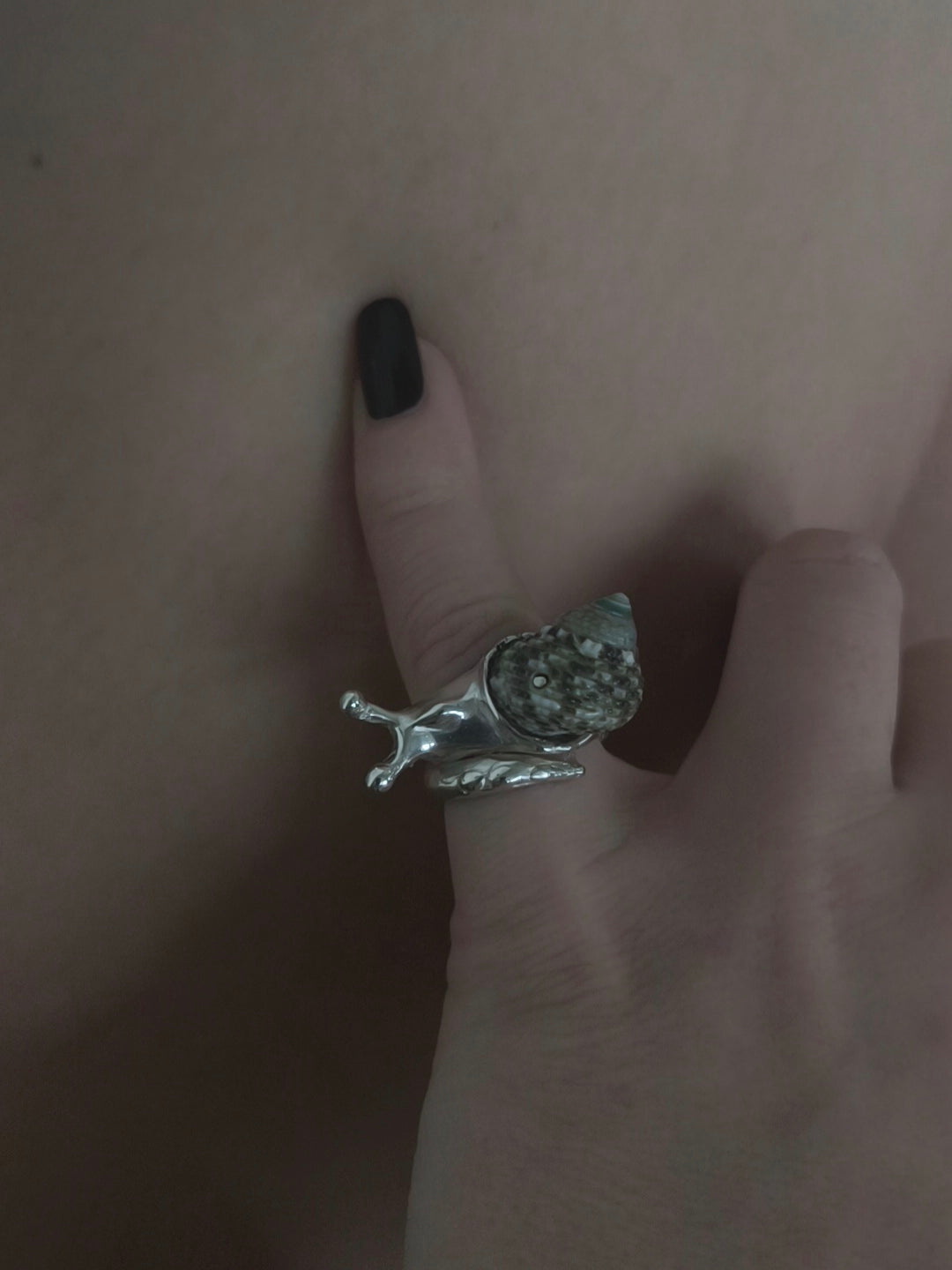 Little Snail