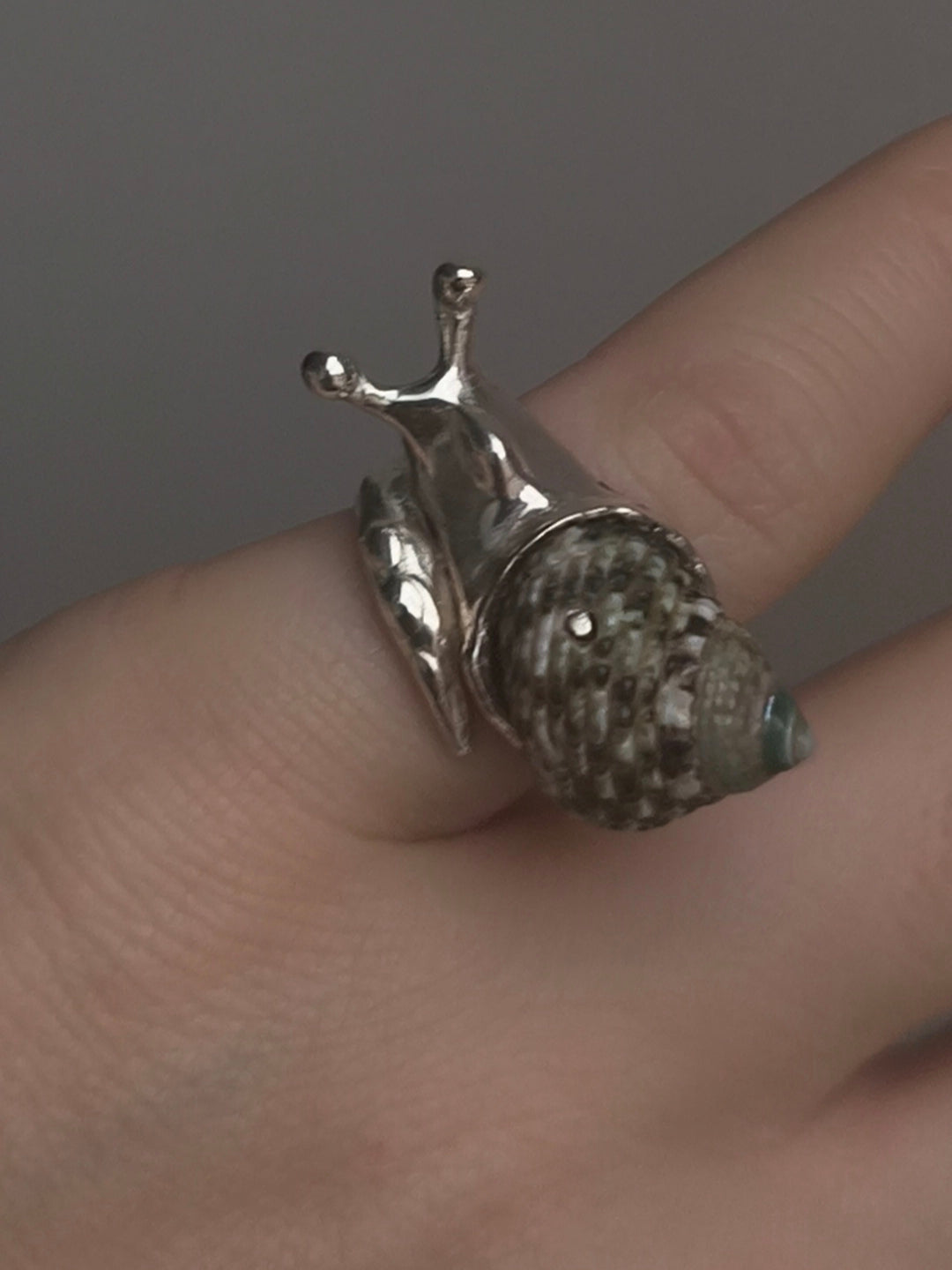 Little Snail