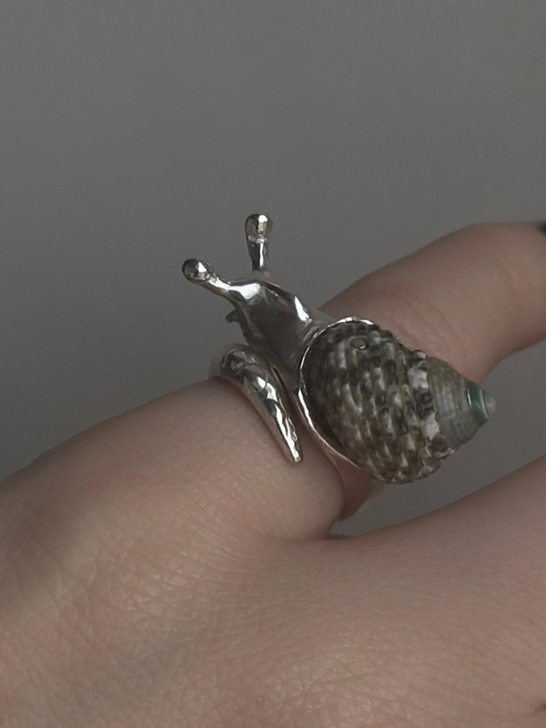 Little Snail