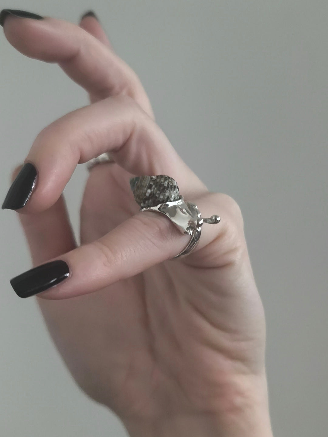 Little Snail