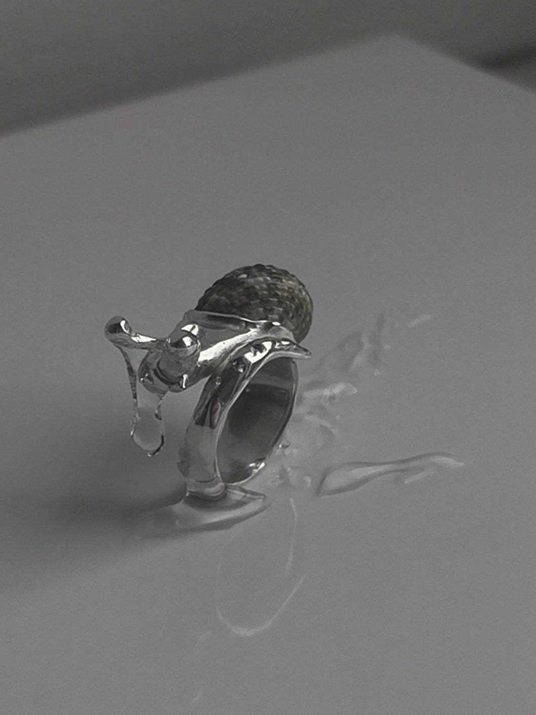 Little Snail