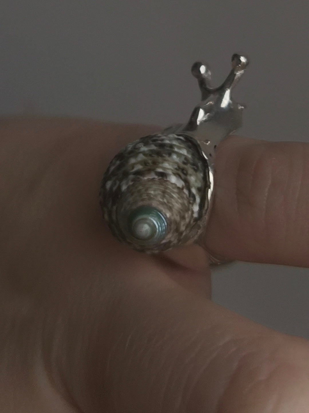 Little Snail