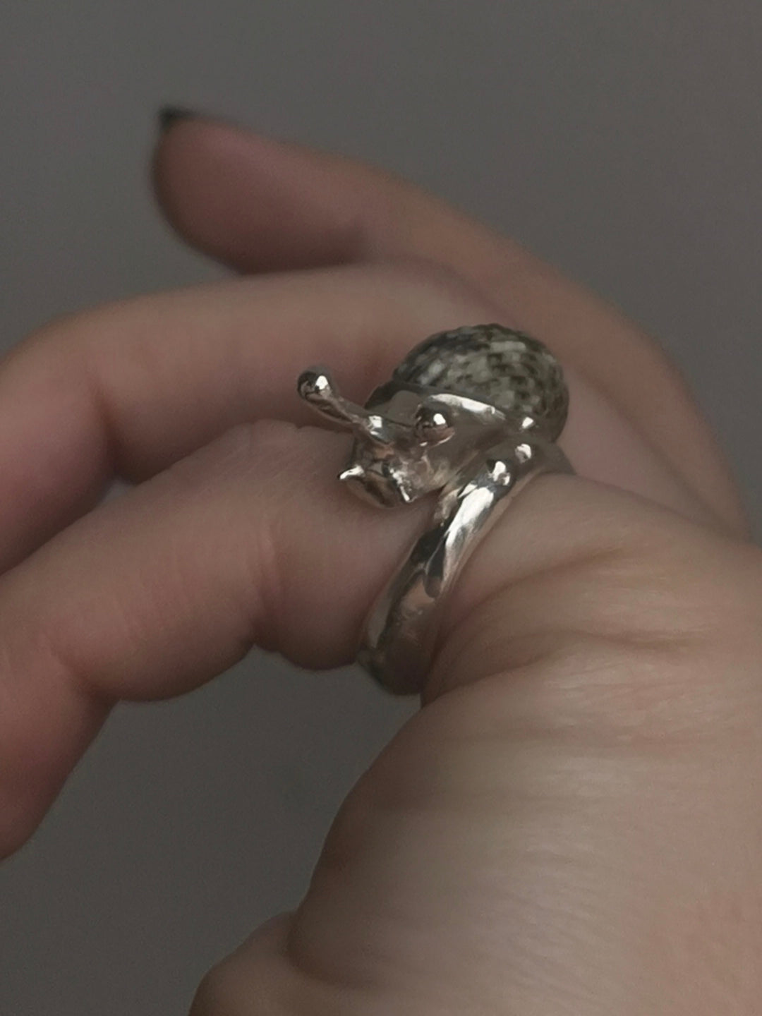 Little Snail