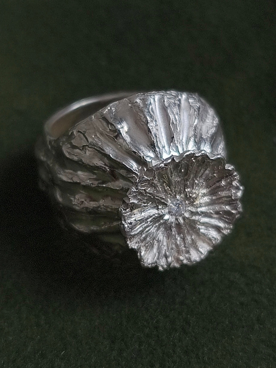 Poppy