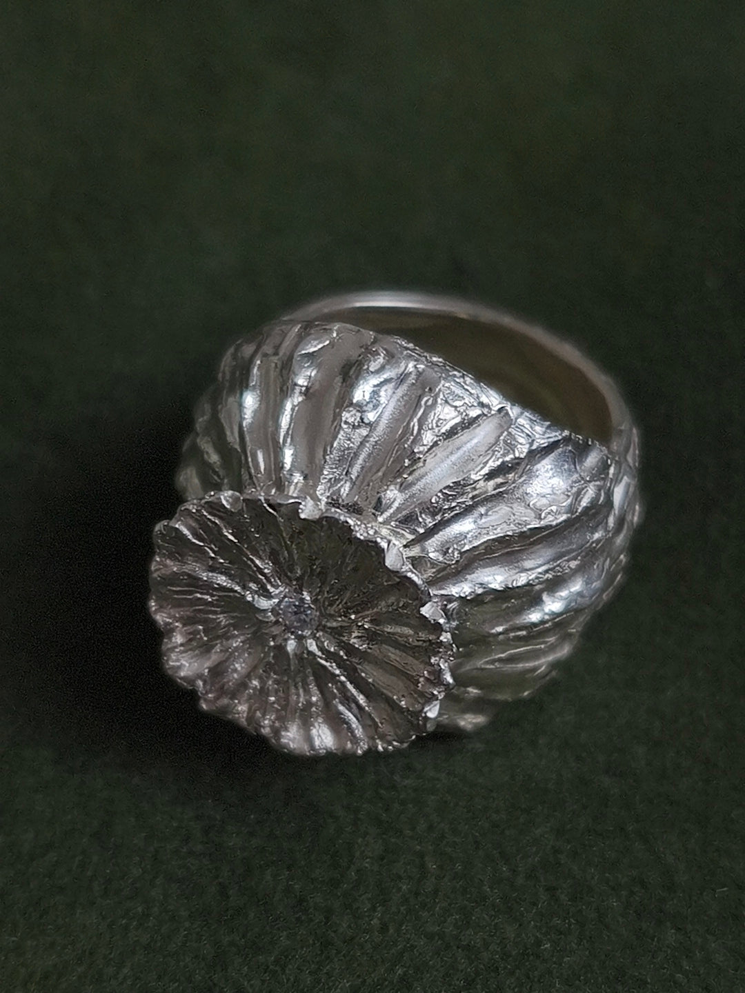 Poppy